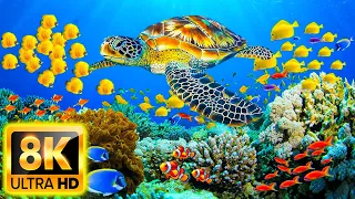 Aquarium 8K ULTRA HD - Beautiful Relaxing Coral Reef Fish - Relaxing Sleep Meditation Music #2