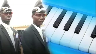 Astronomia (African Pallbearer Coffin Dance) Melodica Cover
