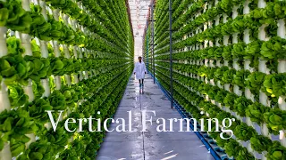 CAN-Agri – Vertical Farming. Amazing Modern Farming Technology