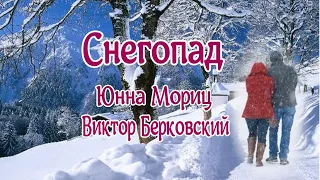 Снегопад Юнна Мориц - Виктор Берковский Вершина авторской песни!