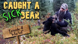 Caught a Sick Bear - Episode 4 | Labrador Fall Black Bear Hunting / Trapping🧸