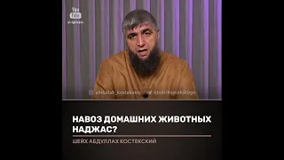 Навоз домашних животных наджас?Отвечает Абдулла Костекский