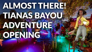 Tianas Bayou Adventure Update 1st May - Almost there Opening soon!