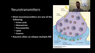 PSY305 CH3PT1: Chemical Signaling Between Neurons