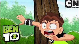 Ben 10 | The Aliens Get Mixed Up And Combined | Riding The Storm | Cartoon Network