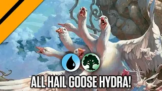 ALL HAIL GOOSE HYDRA! Wilds of Eldraine Premier Draft | MTG Arena