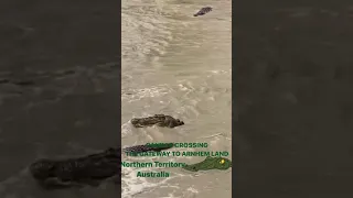 Kakadu National Park Northern Territory Australia, Cahills Crossing Crocodiles 🐊 #Shorts #kakadu