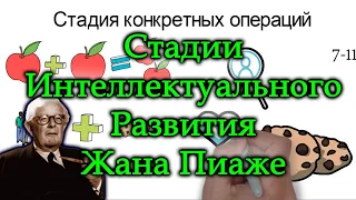 ЖАН ПИАЖЕ СТАДИИ ИНТЕЛЛЕКТУАЛЬНОГО РАЗВИТИЯ. СТАДИИ РАЗВИТИЯ Теория когнитивного развития ЖАНА ПИАЖЕ