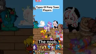 Types Of Pony Town Players. | #trending #ponytown #mlp #Short #shorts