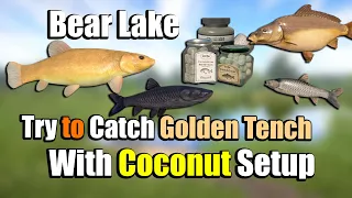 🎣Russian Fishing 4 RF4 - Bear Lake Golden tench Spot#237