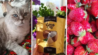 НАВЕСТИЛИ РОДСТВЕННИКОВ В ДНЕПРЕ🙌🍓🐾