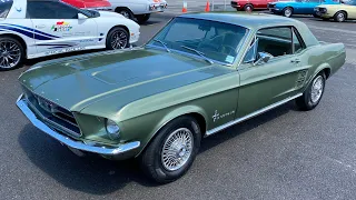 Test Drive 1967 Ford Mustang SOLD $15,900 Maple Motors #1836