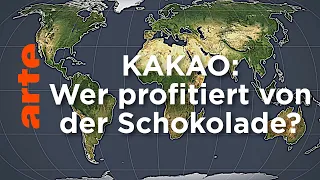 Kakao: Wer profitiert von der Schokolade? | Mit offenen Karten | ARTE