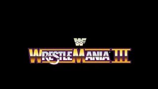 Every WWE (WWF) Wrestlemania 3 Competitor