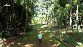 Caatinga: bioma exclusivamente brasileiro sofre com processo de desertificação (audiodescrição)