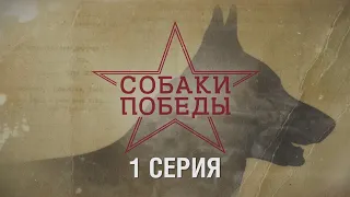 Собаки Победы -  документальный сериал о четвероногих бойцах. 1 серия