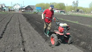 Деревенские зарисовки 2020  Часть 1