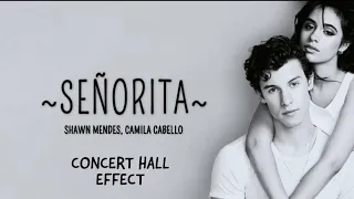 SENORITA - Shawn Mendes , CamilaCabello [Lyrics]/[Concert Hall Effect]