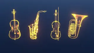 🎷 Musical Instruments