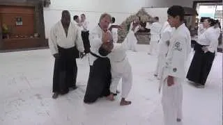 Three Rivers Aikido Seminar