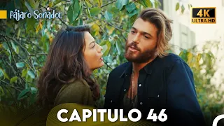 Pájaro Soñador Capítulo 46 (Doblado En Español 4K)