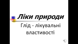 Глід і його лікувальні властивості. Ліки природи . Домашні університети .