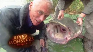 163lbs Wels Catfish! | CATFISH | River Monsters