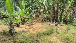 Repairing D6R XL Bulldozer Road Working in Banana Farm