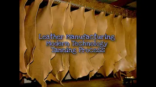 Leather Manufacturing II Full Tanning Industrial Process II Four Tannery Industry in One Video