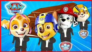 PAW Patrol - Cartoons For Kids (p3) - Coffin Dance Song (COVER)