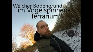 Welchen Bodengrund für ein Vogelspinnen-Terrarium? + ich sage Jehova !