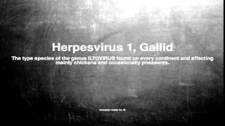 Medical vocabulary: What does Herpesvirus 1, Gallid mean