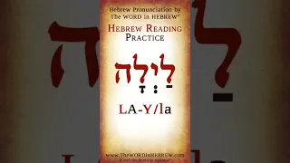 Read Hebrew - Night in Hebrew #shorts #learnhebrew #hebrew