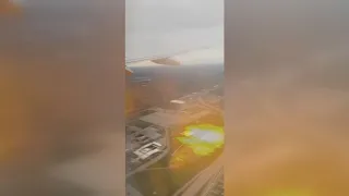 VIDEO | American Airlines plane engine catches fire after possible bird strike