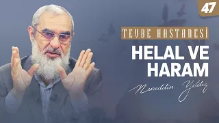 HELAL VE HARAM  [Tevbe Hastanesi-Nureddin Yıldız] 47.Ders