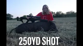 Texas Hog Hunting!! 250yd (Heart Shot)