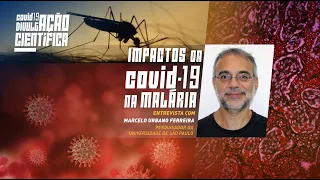Impactos da COVID-19 na malária