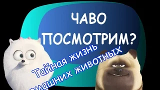 Тайная жизнь домашних животных (обсуждаем трейлер)