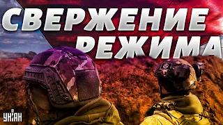 Готовится свержение Лукашенко. Добровольцы ждут "Времени X". Все о группе BYPOL