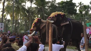 Baahubali elephant Chirakkal Kalidasan Vs Mangalamkunnu Ayyappan @ Chakkumarassery Thalapokkam Fight