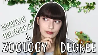 🐙  ZOOLOGY DEGREE: What is it like? 🐢