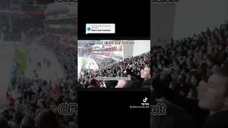 SGE Fans in Leverkusen am Sticheln!