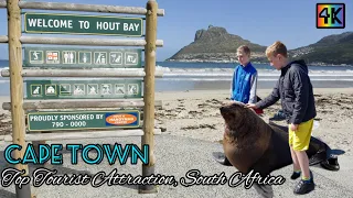 Hout Bay 4K, Western Cape South Africa #southafrica #capetown #houtbay #cruise #viralvideo