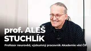 DEEP TALKS 188: prof. Aleš Stuchlík – Jak sociální sítě mění náš mozek?