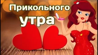 Прикольного утра, веселого дня! Весёлые пожелание солнечного и чудесного дня #Мирпоздравлений