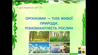 Урок 33 ОРГАНІЗМИ — ТІЛА ЖИВОЇ ПРИРОДИ. ЯДС 3 клас автор підручника І.Жаркова