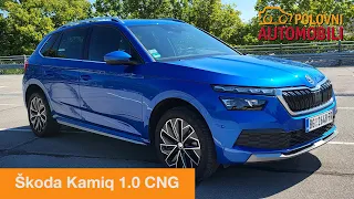 Škoda Kamiq - Najmanji kamen u kruni | Auto Test Polovni automobili