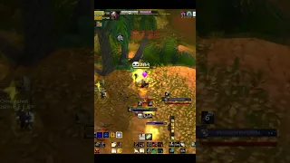 ГУУУУД МОНИНГ ВЬЕТНАААМ! #sod #classic #wowclassic #pvp #paladin