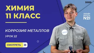 Урок 22. Коррозия металлов. Химия 11 класс