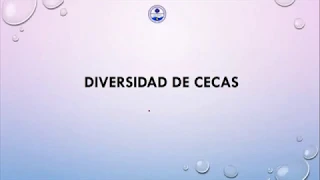 ANAT - Reconocimiento de las Cecas en las Monedas Coloniales